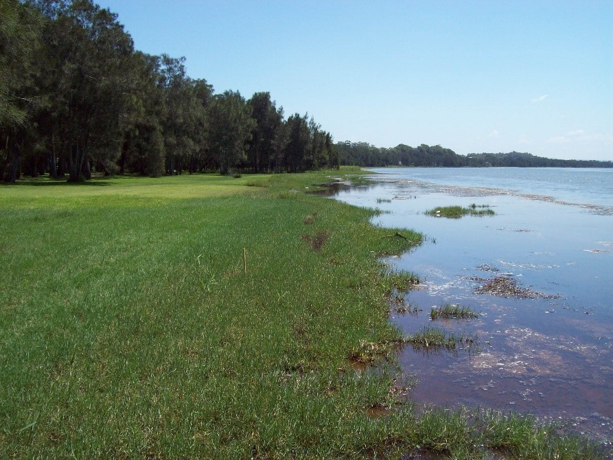 Figure 3. Natural slope creating a perfect environment for saltmarsh to grow.