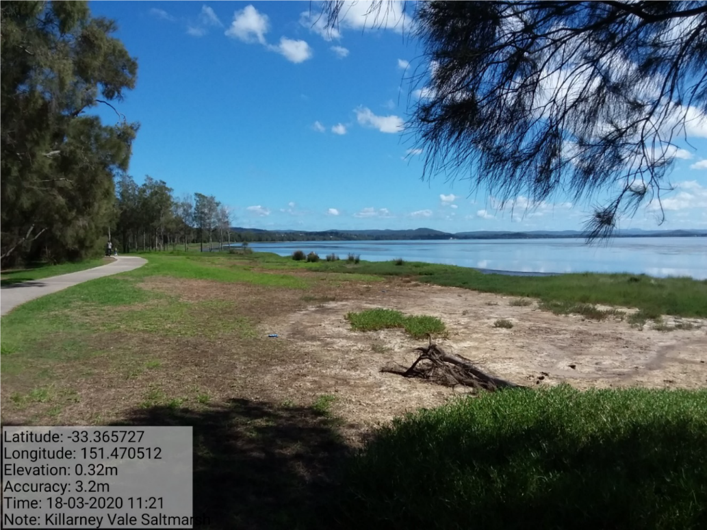 Figure 5. Passive saltmarsh rehabilitation - before 