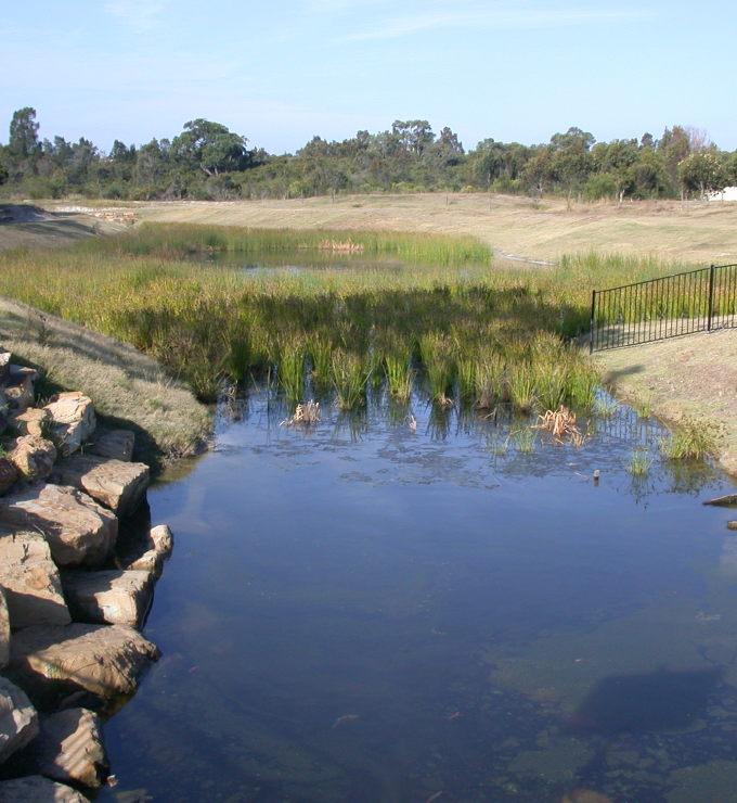 Constructed Wetlands