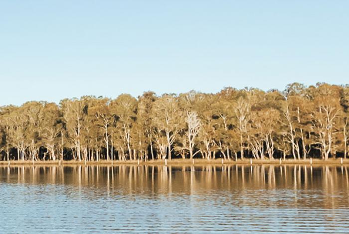 Saltmarsh