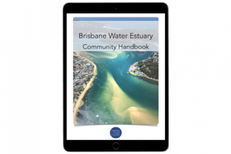 Brisbane Water Estuary