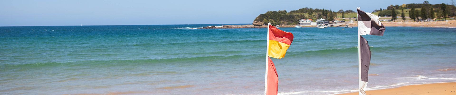 Terrigal and Coastal Lagoons Audit