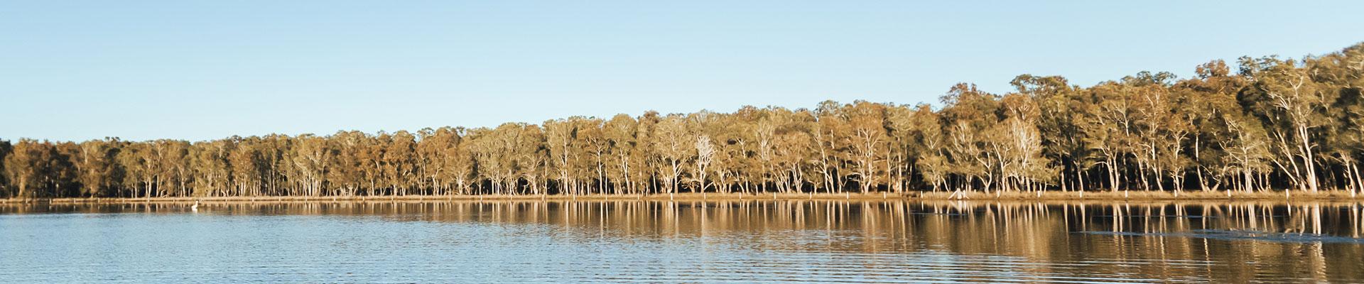 Saltmarsh