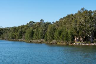 Dunkey Island from the water