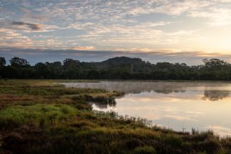 Mardi Wetlands