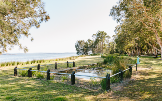 Storm water traps