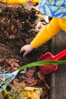 Learn about soil