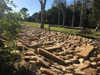 Jilliby Jilliby Creek stream bank rehabilitation
