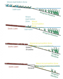 Wrack Assimilation Process