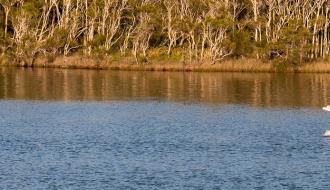 The Health of our Water